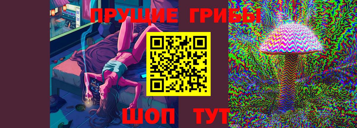 Псилоцибиновые грибы прущие грибы Чапаевск