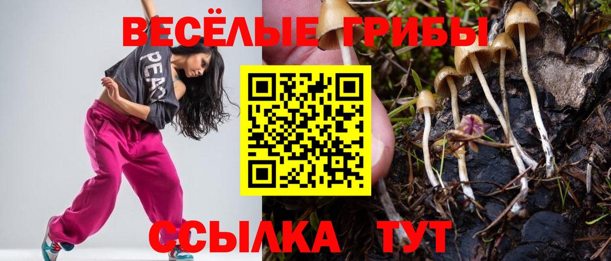 купить закладку  Вход с VPN  Чапаевск  Псилоцибиновые грибы Psilocybine cubensis  Псилоцибиновые грибы мухоморы 